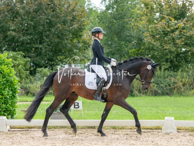 ZfdP Bundesturnier 26