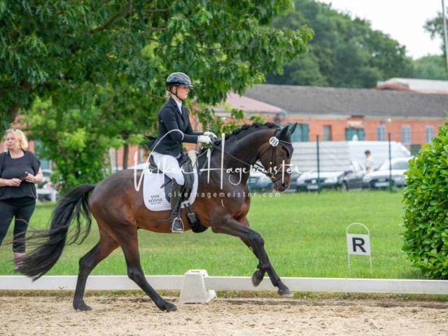 ZfdP Bundesturnier 27