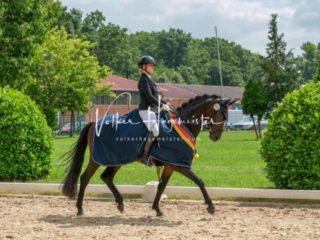 ZfdP Bundesturnier 1