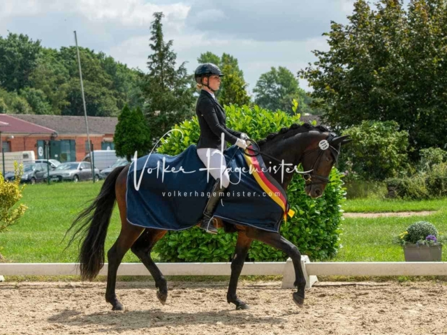 ZfdP Bundesturnier 2