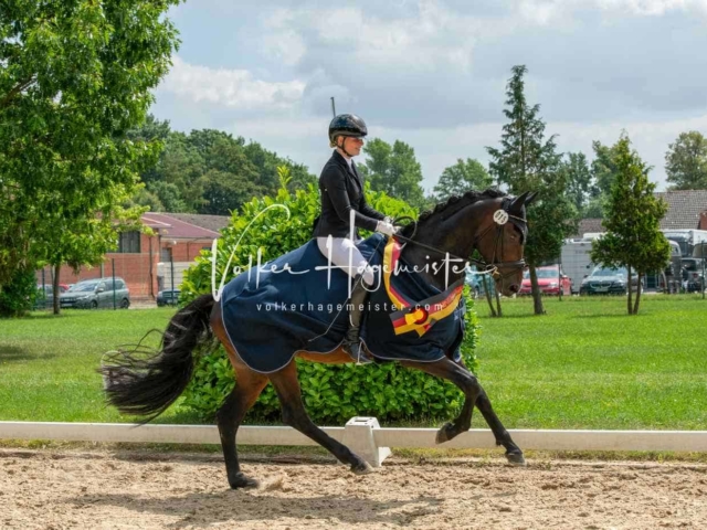 ZfdP Bundesturnier 3