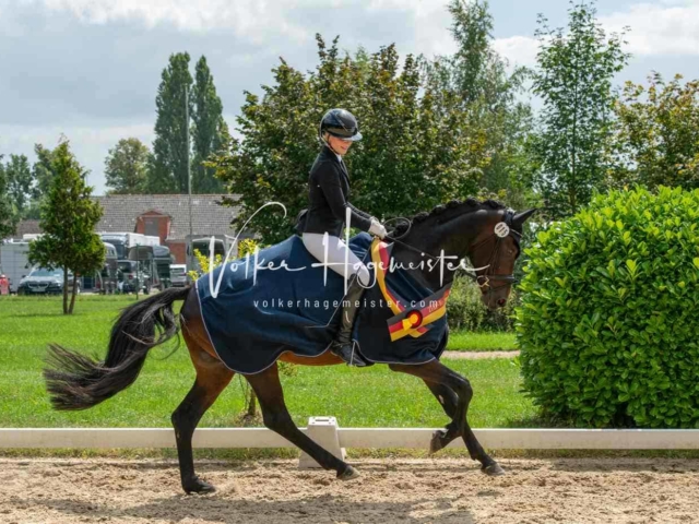 ZfdP Bundesturnier 4