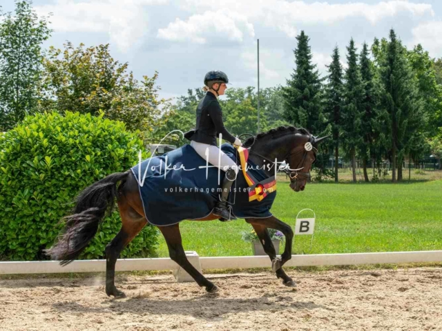 ZfdP Bundesturnier 5