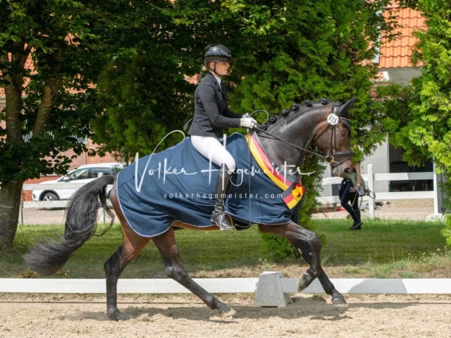 ZfdP Bundesturnier 6