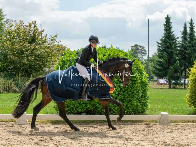 ZfdP Bundesturnier 7