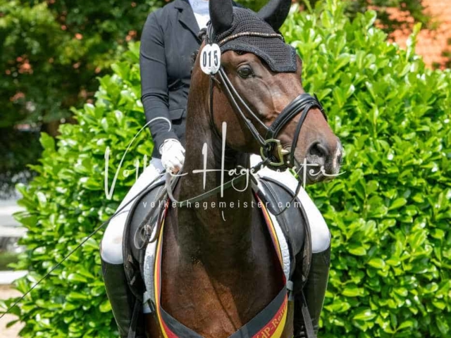 ZfdP Bundesturnier 8