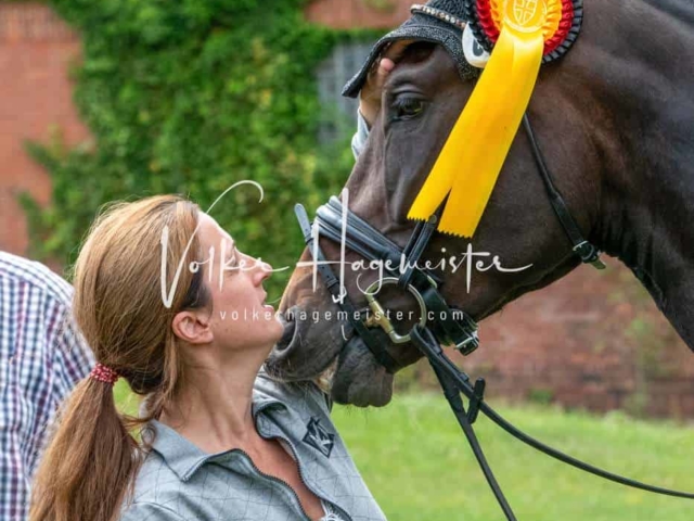 ZfdP Bundesturnier 14