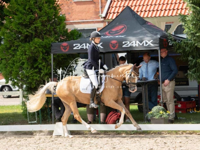 ZfdP Bundesturnier 21