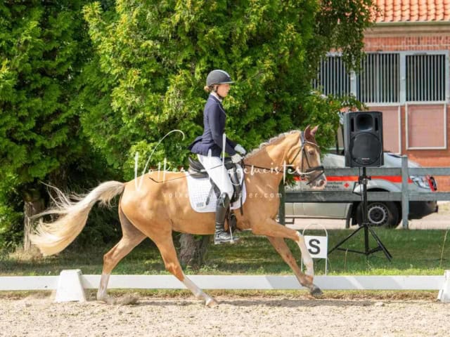 ZfdP Bundesturnier 25