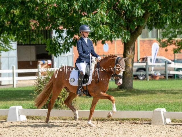 ZfdP Bundesturnier 16