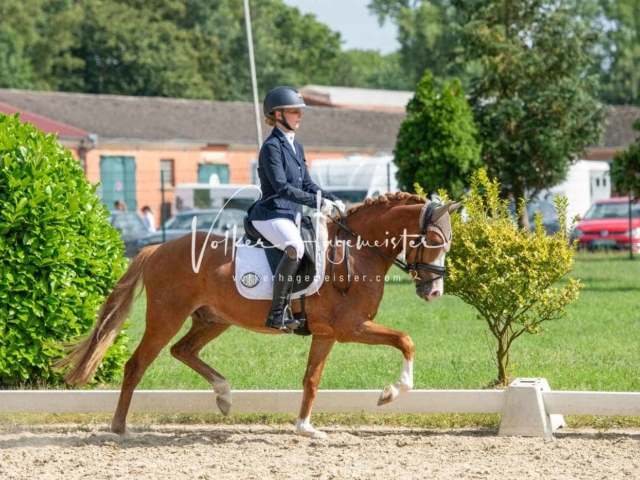 ZfdP Bundesturnier 17