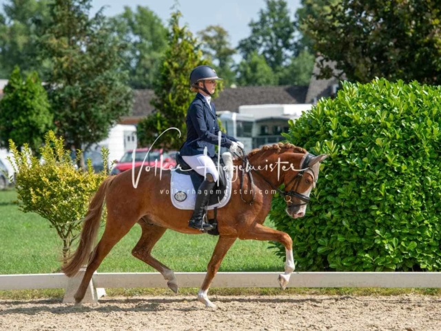 ZfdP Bundesturnier 18