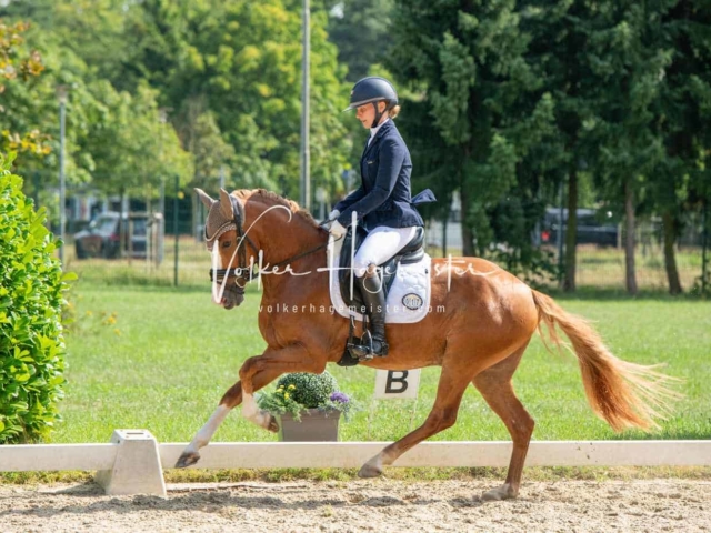 ZfdP Bundesturnier 20