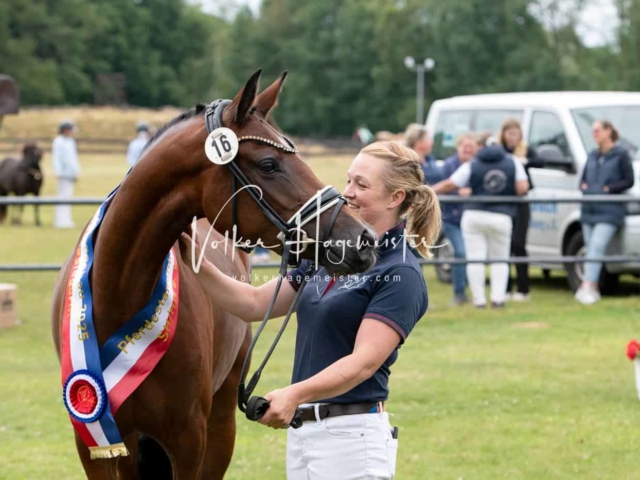 Elitestutenschau vormittags 1