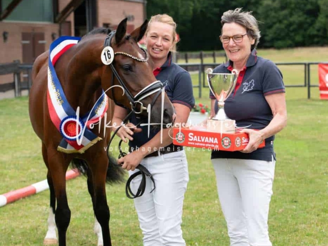 Elitestutenschau vormittags 5