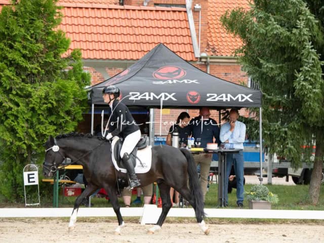 ZfdP Bundesturnier 25