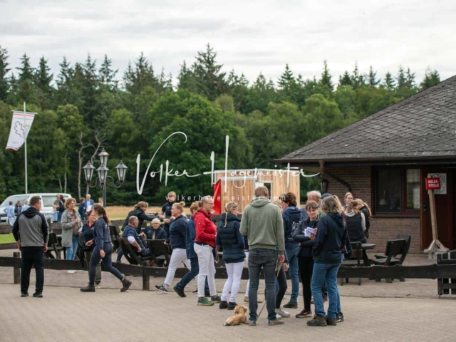 Elitestutenschau vormittags 9