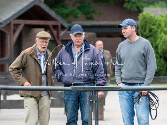 Elitestutenschau vormittags 18