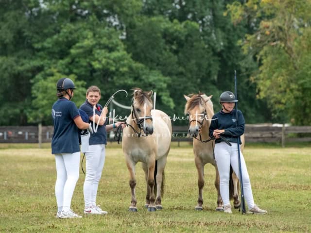 Elitestutenschau nachmittags 21