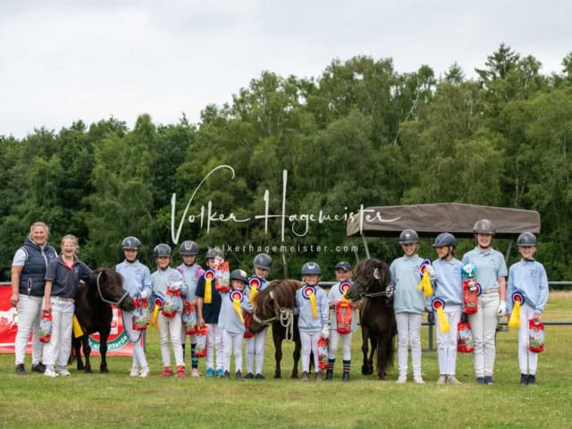 Elitestutenschau nachmittags 26