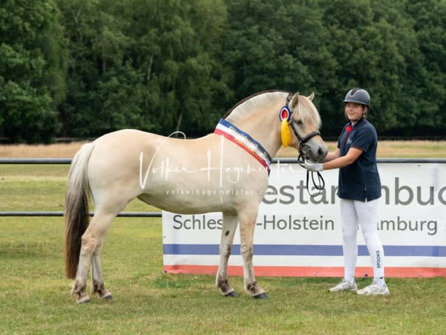 Elitestutenschau nachmittags 30