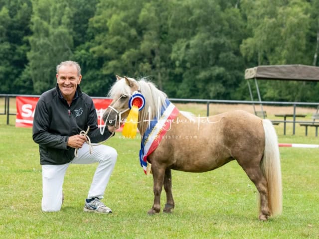 Elitestutenschau nachmittags 8