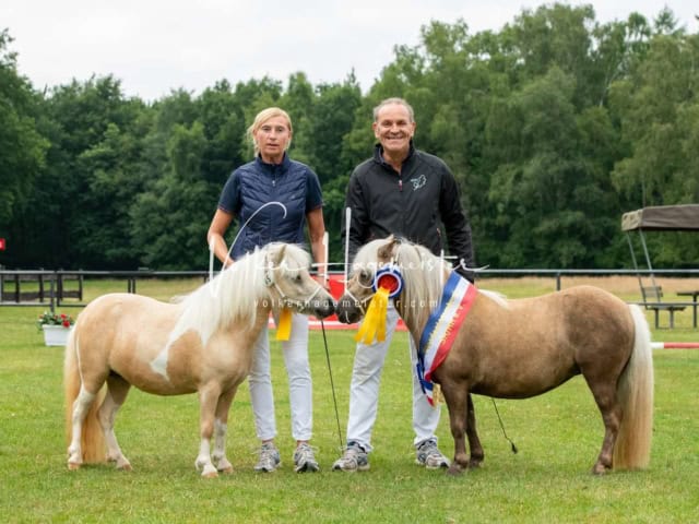Elitestutenschau nachmittags 9