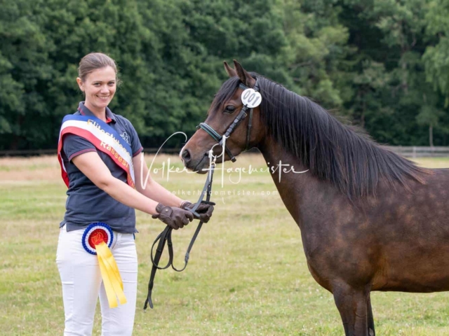 Elitestutenschau vormittags 27