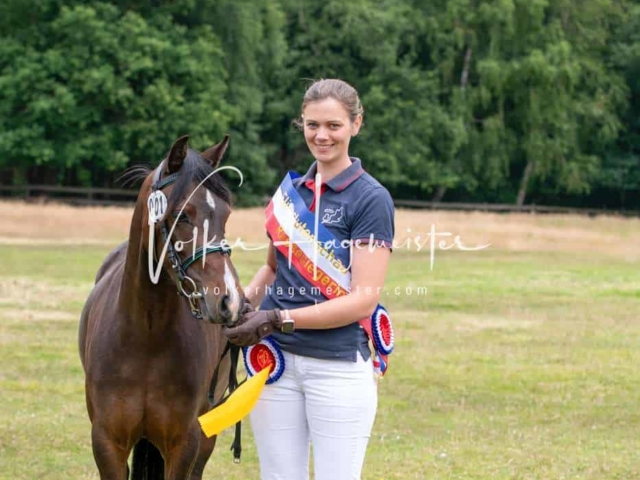 Elitestutenschau vormittags 28