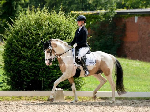 ZfdP Bundesturnier 4