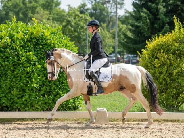 ZfdP Bundesturnier 5