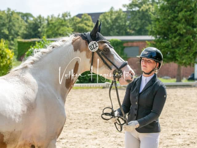 ZfdP Bundesturnier 7