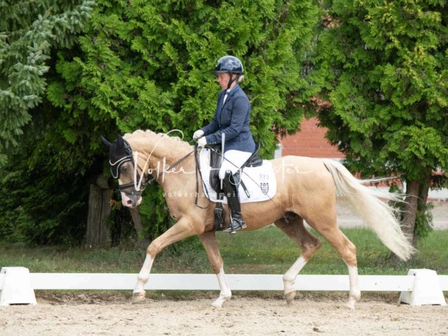 ZfdP Bundesturnier 9