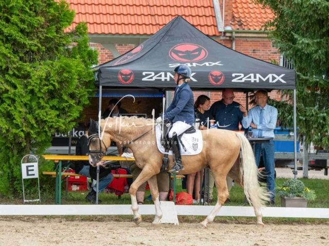 ZfdP Bundesturnier 11