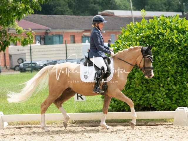 ZfdP Bundesturnier 12