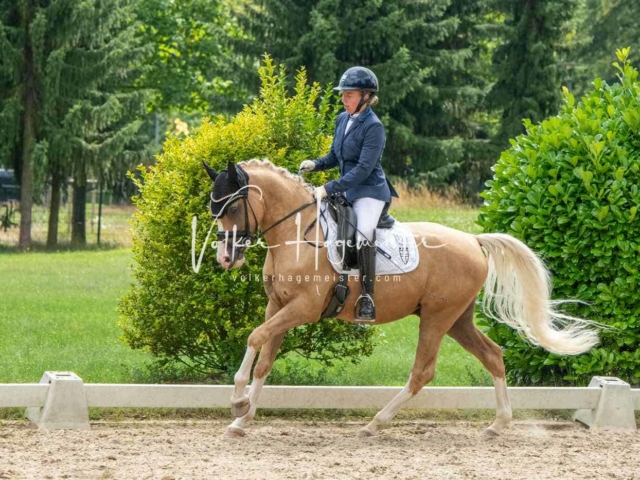 ZfdP Bundesturnier 13