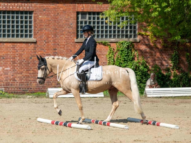 ZfdP Bundesturnier 16