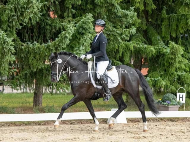 ZfdP Bundesturnier 19