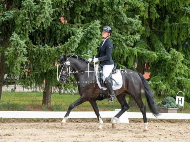 ZfdP Bundesturnier 18