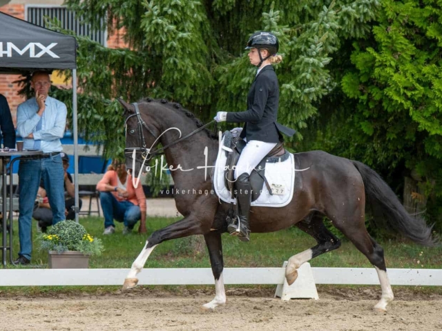 ZfdP Bundesturnier 22