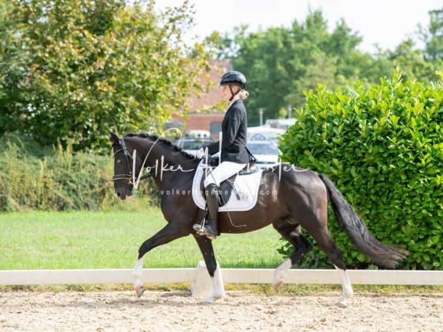 ZfdP Bundesturnier 23