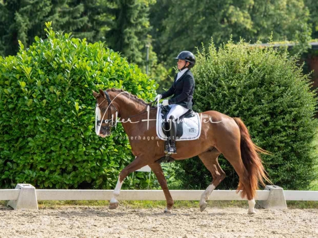 ZfdP Bundesturnier 24