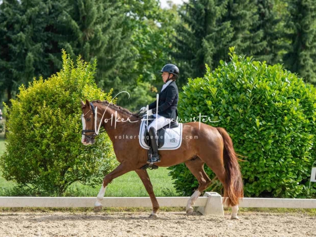 ZfdP Bundesturnier 25