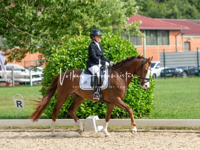 ZfdP Bundesturnier 26