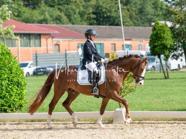 ZfdP Bundesturnier 27