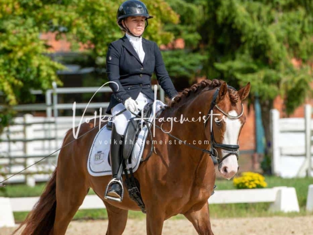 ZfdP Bundesturnier 28