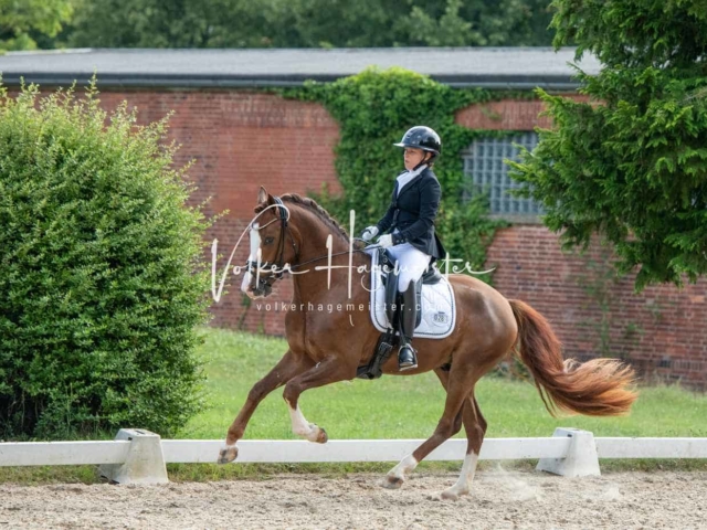 ZfdP Bundesturnier 29