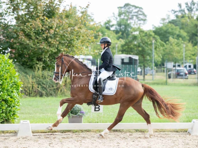 ZfdP Bundesturnier 30