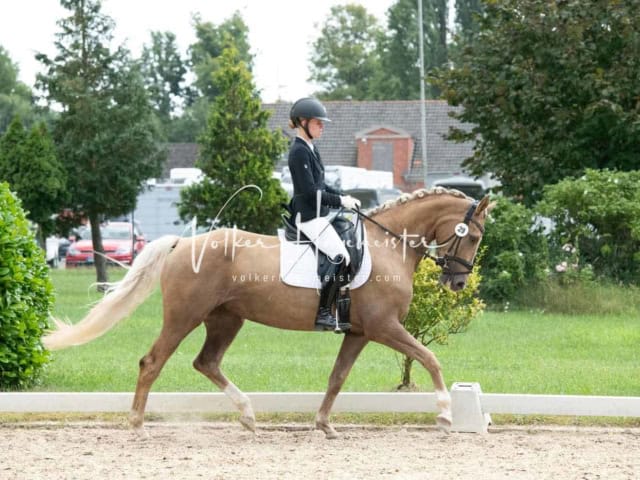 ZfdP Bundesturnier 3