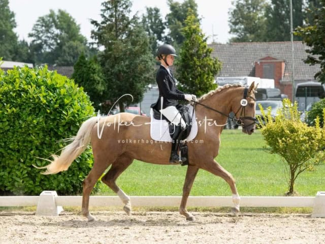 ZfdP Bundesturnier 4